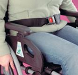 Safety Wheelchair Belt - Auto Buckle (Wrap Around)